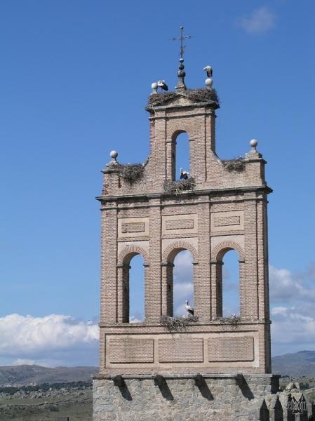 Le cicogne nidificano sulla torre campanaria della chiesa di Santa Teresa (photo etaoin/morv)