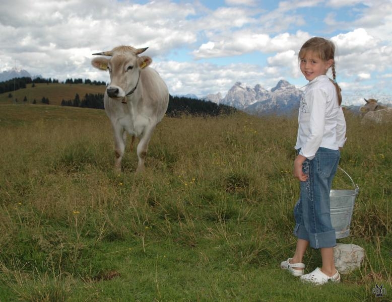 mucca 3