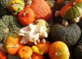 Festa della zucca_Lana e dintorni