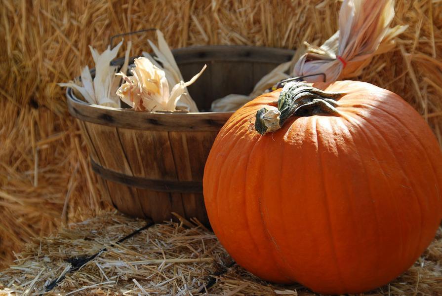 14ª edizione della Festa della zucca