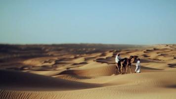Il deserto di Sharqyuah Sands