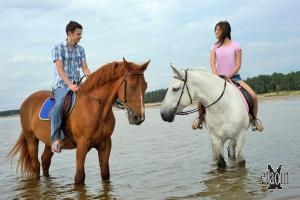 Cavalli sulla spiaggia di Punta Ala (Grosseto)