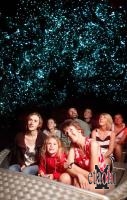 Waitomo Glowworm Caves