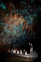 Waitomo Glowworm Caves