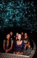 Waitomo Glowworm Caves