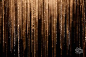 Waitomo Glowworm Caves