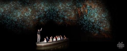 Waitomo Glowworm Caves