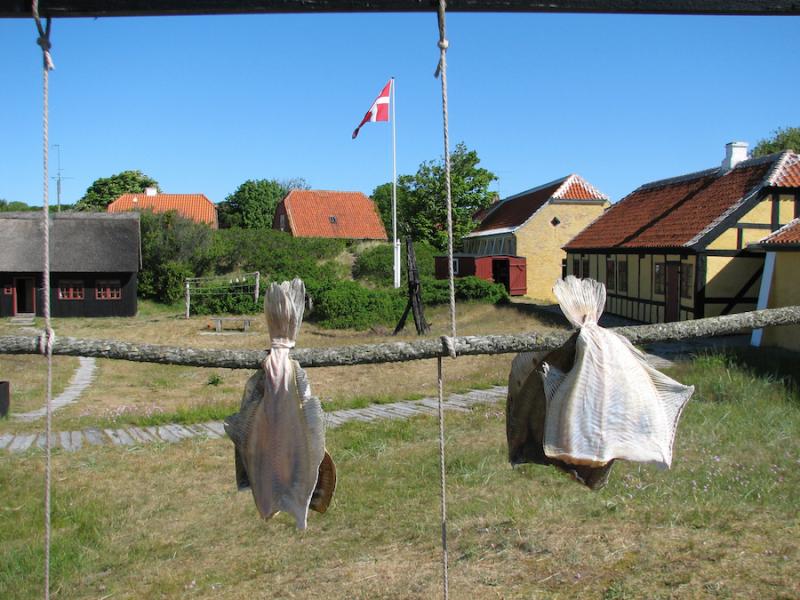 Il pesce appeso a seccare al museo locale di Skagen (photo VisitDenmark/Skagen Turistbureau